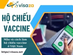 Hộ chiếu Vaccine Mẫu và cách làm hộ chiếu vaccine ở Việt Nam